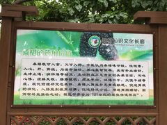 -御林古桑园