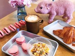 -WHEN PIGS FLY当猪飞