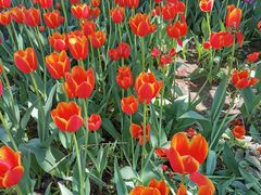 -长春公园(普阳街道)