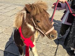 -茅山东方盐湖城景区