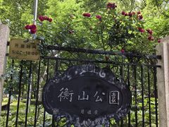 -徐家汇源景区-衡山公园