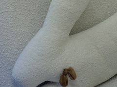 -伊斯坦布尔土耳其清真咖啡餐厅