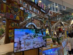 -卡通尼·Safari非洲探索乐园·生日会(金桥国际商业广场店)