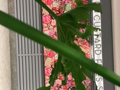 -Shake Shack(西单大悦城店)