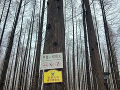 -上海怡沁园度假酒店