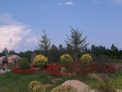 -嘉荫恐龙国家地质公园