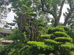 -成都武侯祠博物馆