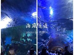 -华夏文旅海洋公园