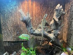 -酷嗒动物文化乐园(cutezoo西溪乐天城店)