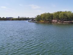 -大兴滨河森林公园