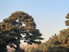 -北陵公园