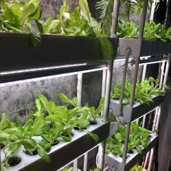 -摩睫+皮肤管理·科学美容中心