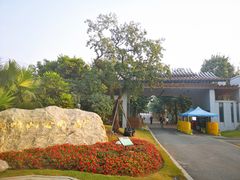 -顺峰山公园