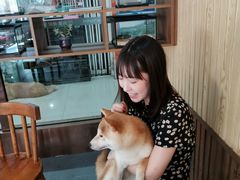 -柴源莊·柴小宠柴犬咖啡