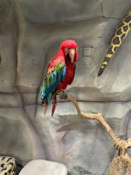 -Zoolung Zoolung动物主题公园(海信广场店)