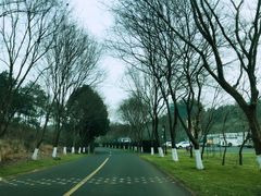 -天目湖涵田半山温泉