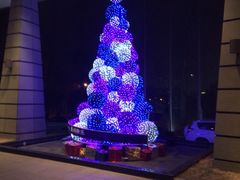 iphone_upload_pic-视界美食自助餐厅·石家庄希尔顿酒店