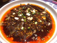 凉拌鸡-铁公鸡·四川料理(天环广场店)