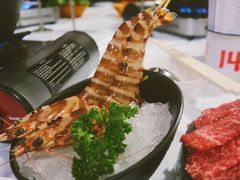 -鲜入围煮花胶鸡海鲜火锅