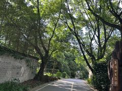 -铁山坪森林公园