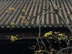 -陈家祠堂-游客中心