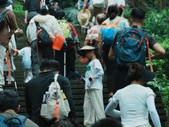 -铁山坪森林公园