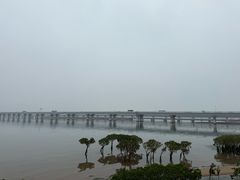-龙舟池
