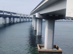 -星海湾跨海大桥