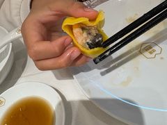 -船歌·鱼水饺青岛菜(金狮广场店)