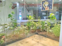 -AIST爱思特医疗美容医院