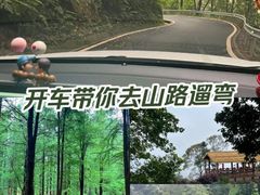 -广州市帽峰山景区