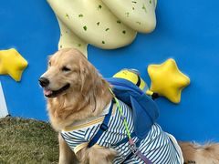 -上海神旺大酒店