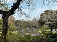 -杭州植物园