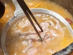 -芸山季·云南山珍菌火锅(南翔印象城MEGA店)