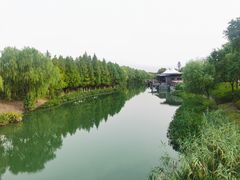 -江滩湿地公园