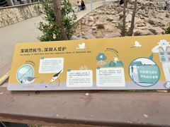 -深圳湾公园(南山区)