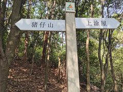 -火炉山森林公园