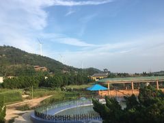 -长岛万鸟岛