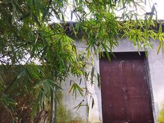 -绮园景区