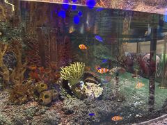 -沈阳海洋探索中心