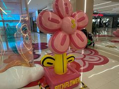 -凯德MALL(望京店)