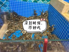 -乔哥铭洋海鲜自助(皇城恒隆广场店)