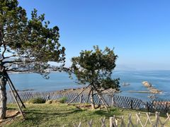 -小麦岛公园