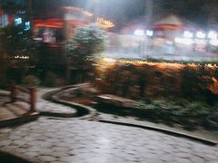 -二荆条·蜀鲜汇城市森林火锅