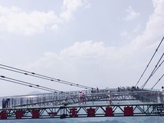 -梦幻奥陶纪景区