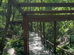 -大岭沟猕猴桃谷风景区