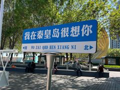 -金梦海湾浴场