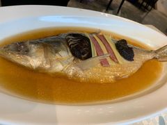 古法蒸鲥鱼-望乡楼上海菜(日月光店)