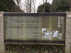 -梁鸿国家湿地公园