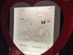 -青岛贝壳博物馆